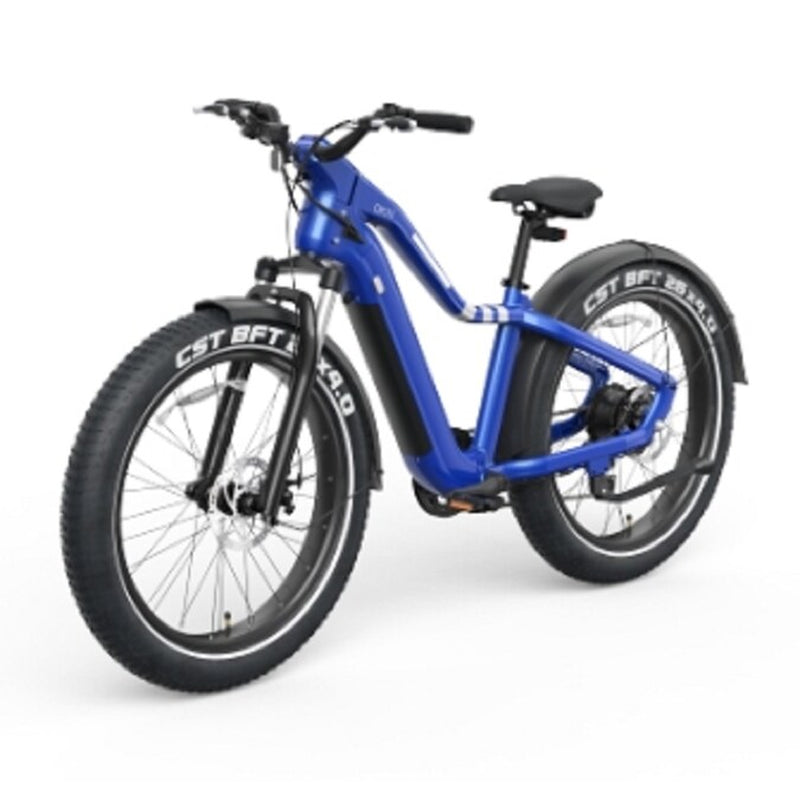 26-In Adult Unisex E-Bike