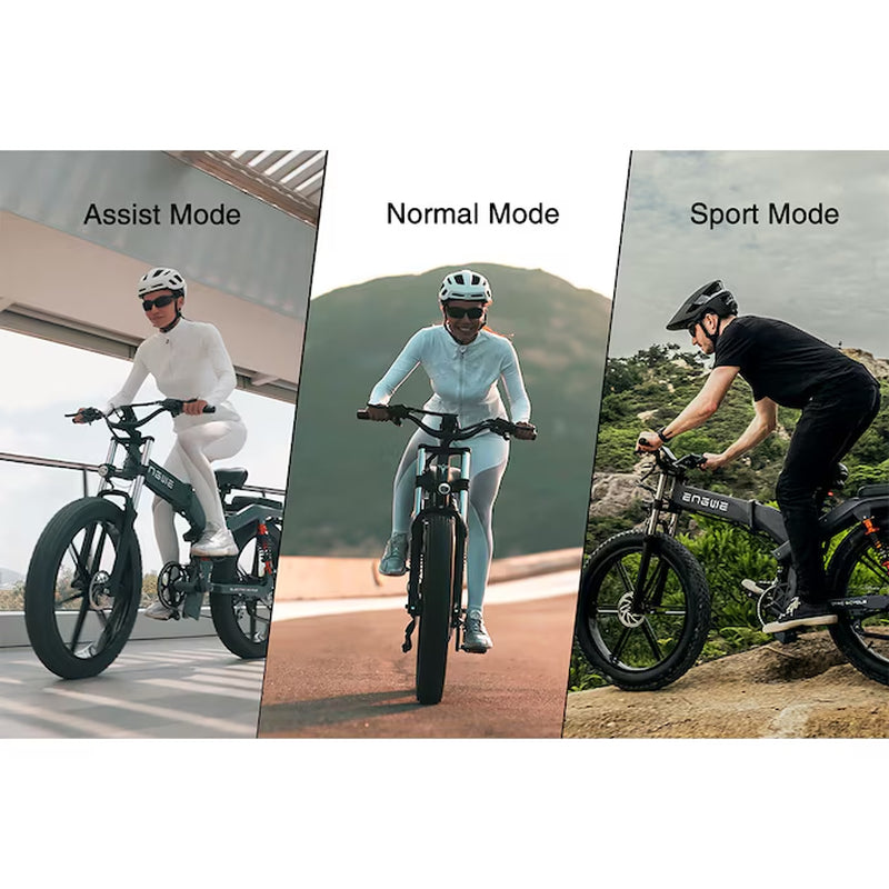 26-In Adult Unisex E-Bike