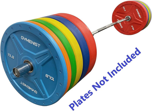 Barbell for 2 Inch Diameter Plates Exercise Workout Gym Barbells for Heavy Duty Weight Lifting