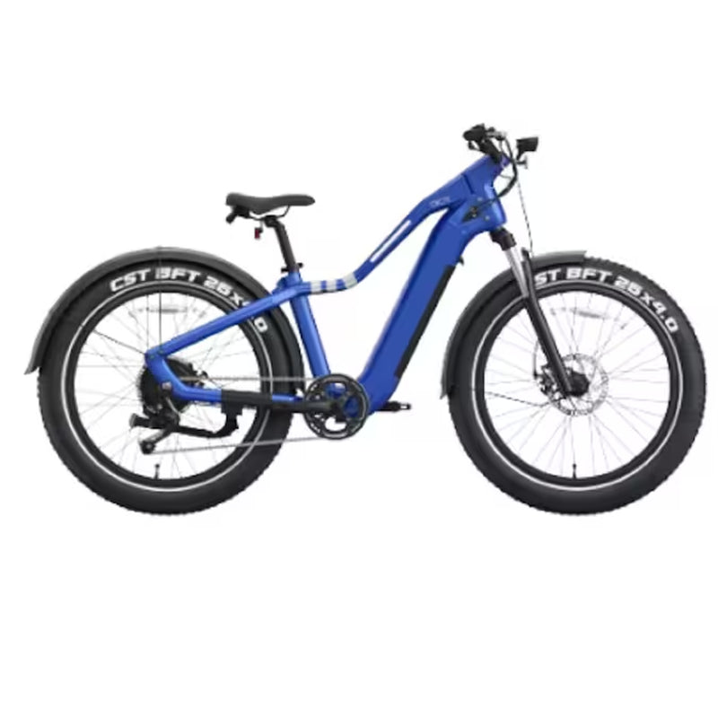 26-In Adult Unisex E-Bike