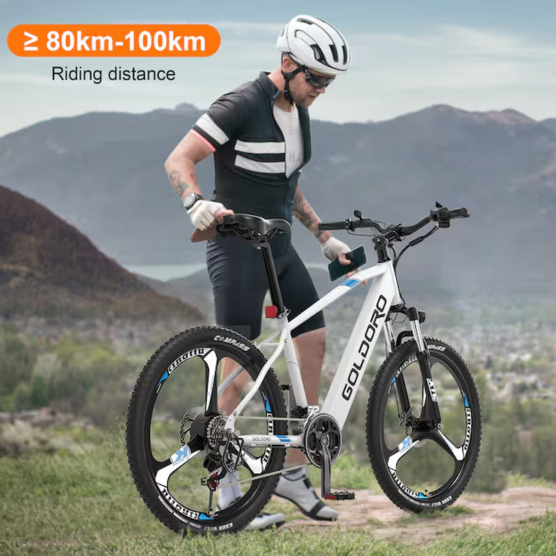 26-In Adult Unisex E-Bike